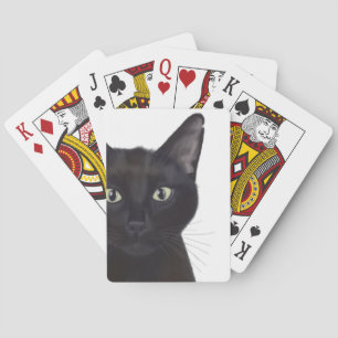 Jeu De Cartes Chat, Portrait de Gus
