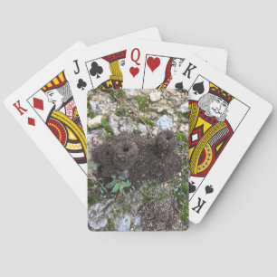 Jeu De Cartes Château d'Ant