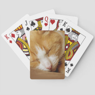 Jeu De Cartes Chaton couchant