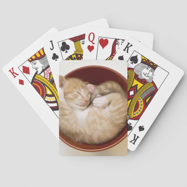 Jeu De Cartes Chaton de sommeil (dos)