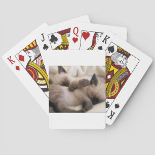 Jeu De Cartes Chaton siamois mignon de chat d'animal familier de