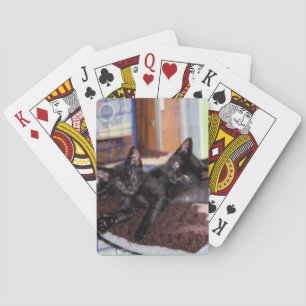 Jeu De Cartes Chatons