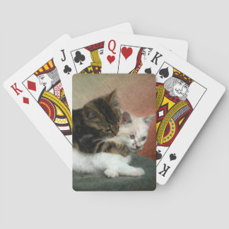 Jeu De Cartes Chatons de caresse