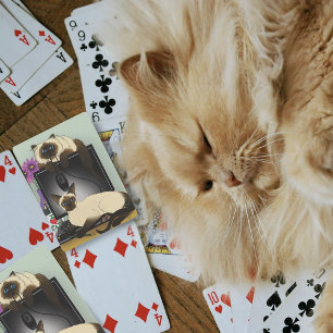Jeu De Cartes Chats de Bureau Informatique Siamois Drôle de Méfa