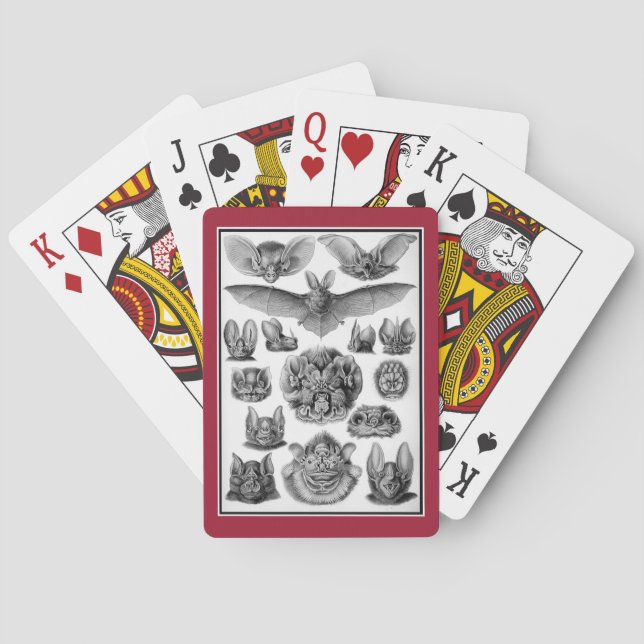Jeu De Cartes Chauves-souris ! (dos)