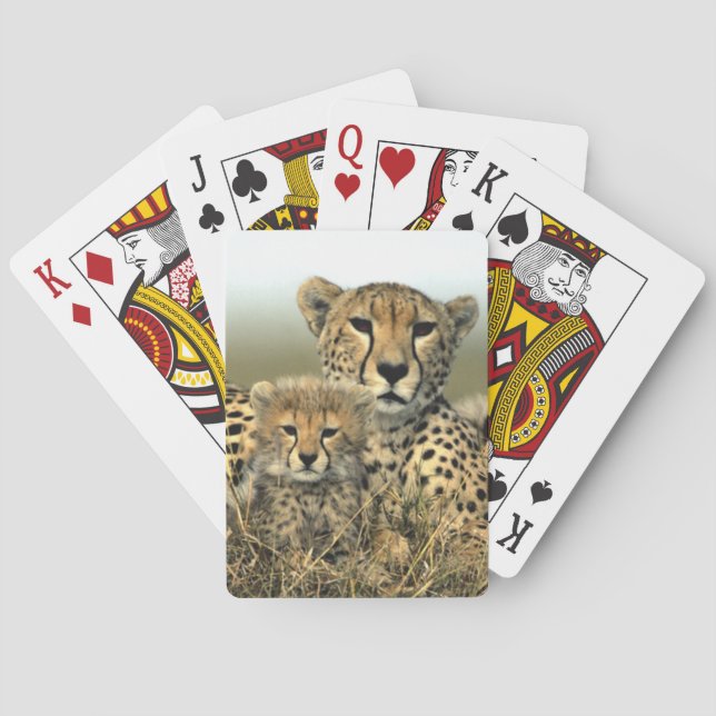 Jeu De Cartes Cheetah Mom and Cub (dos)
