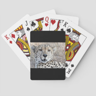 Jeu De Cartes Cheetah Portrait