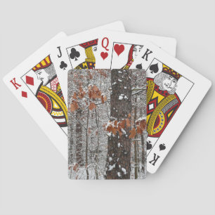 Jeu De Cartes Chênes couverts de neige hiver Photographie de la