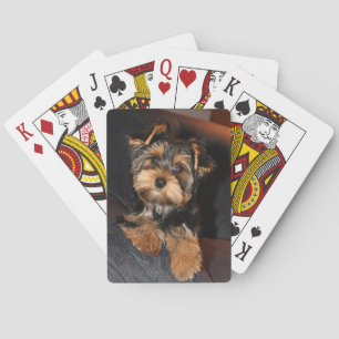Jeu De Cartes Cher Yorkshire Terrier Yorkie Chien chiot  