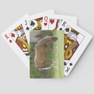 Jeu De Cartes Chestnut Brown Cheval Pâturage Jeu Cartes
