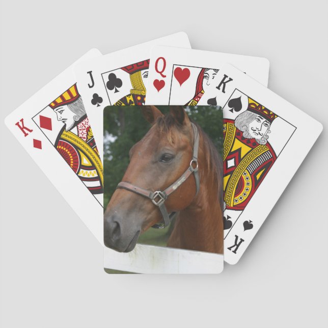 Jeu De Cartes Chestnut douce Cheval Deck de Cartes (dos)