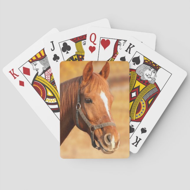Jeu De Cartes Cheval (dos)