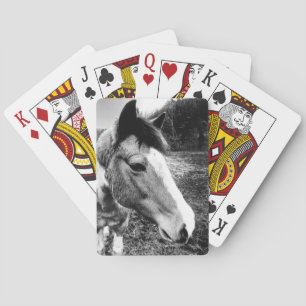 Jeu De Cartes Cheval