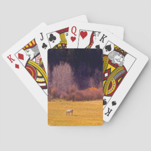Jeu De Cartes Cheval À L'Automne I