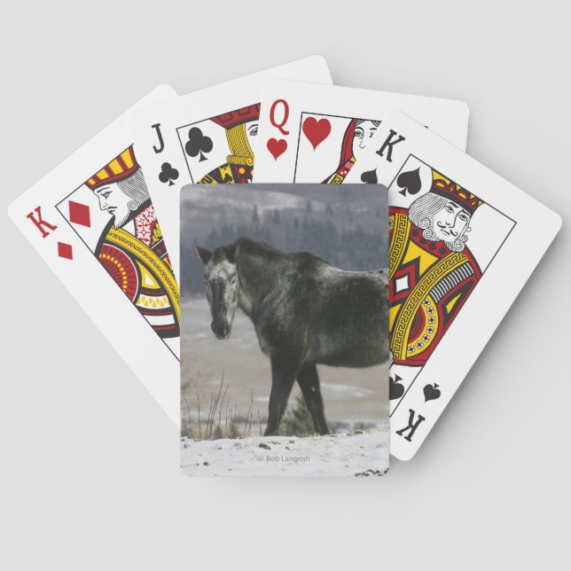 Jeu De Cartes Cheval Appaloosa dans la neige (dos)