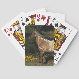 Jeu De Cartes Cheval Appaloosa debout au bord d'un lac