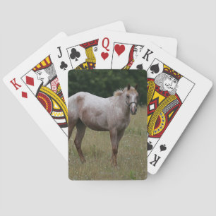 Jeu De Cartes Cheval Appaloosa debout dans l'herbe