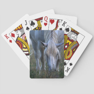 Jeu De Cartes Cheval blanc