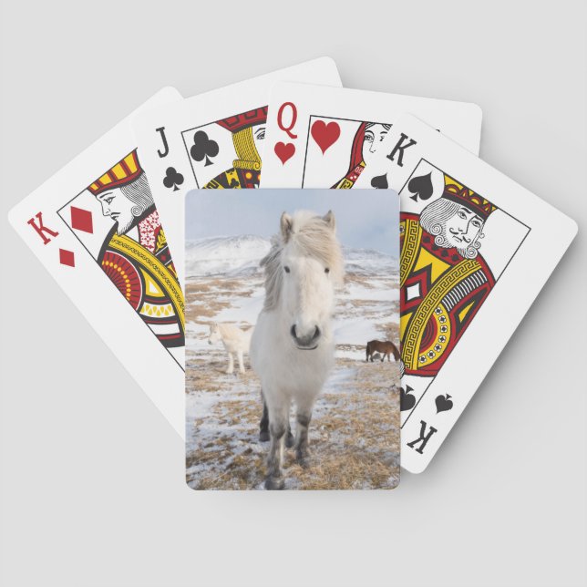 Jeu De Cartes Cheval Blanc Islandais, Islande (dos)