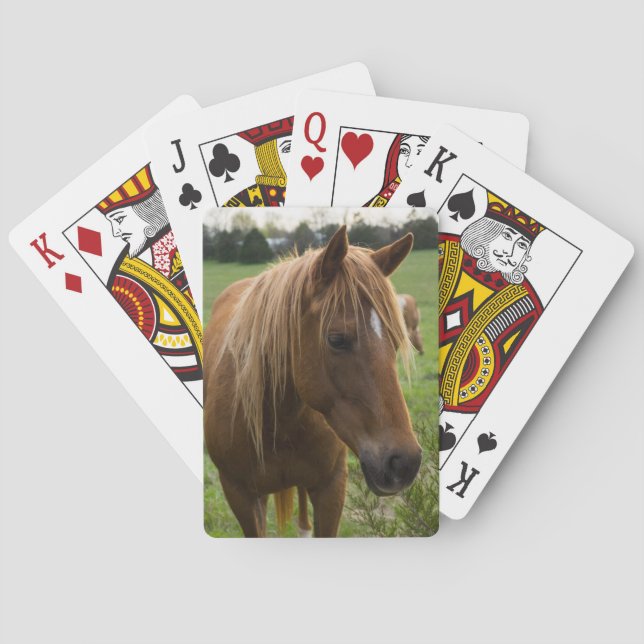 Jeu De Cartes Cheval Bonjour (dos)