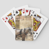 Cheval Cordoue Espagne