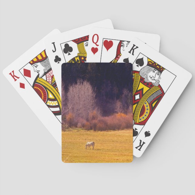 Jeu De Cartes Cheval dans l'automne I (dos)