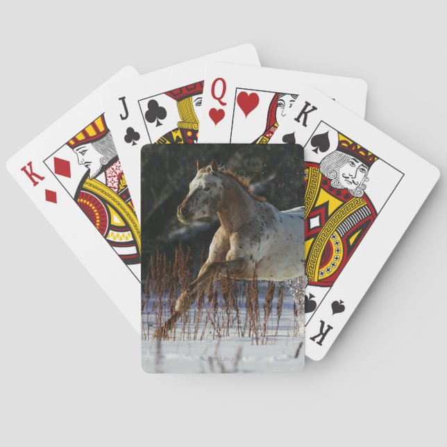 Jeu De Cartes Cheval d'Appaloosa fonctionnant dans la neige (dos)