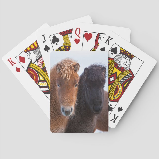 Jeu De Cartes Cheval islandais en hiver en Islande (dos)