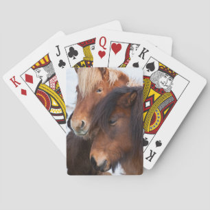 Jeu De Cartes Cheval islandais en hiver en Islande