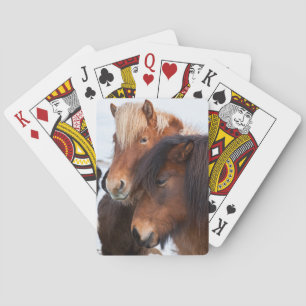 Jeu De Cartes Cheval islandais en hiver sur Islande 3