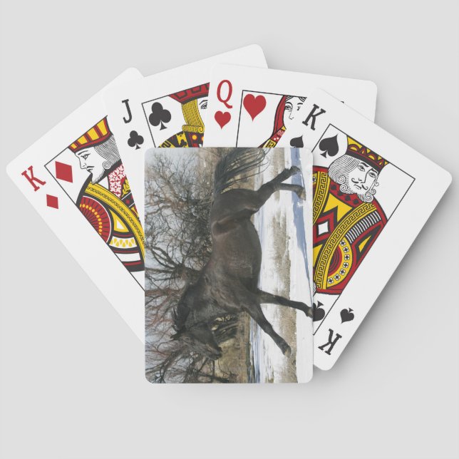 Jeu De Cartes Cheval Mustang sauvage dans la neige 2 (dos)