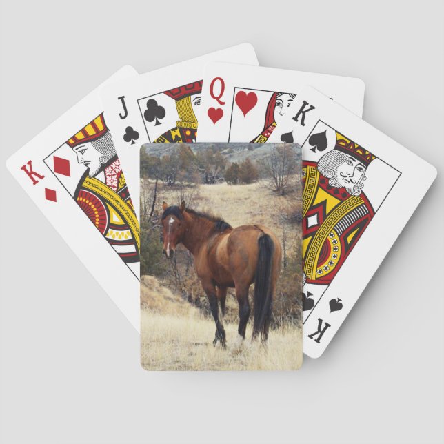 Jeu De Cartes Cheval sauvage (dos)