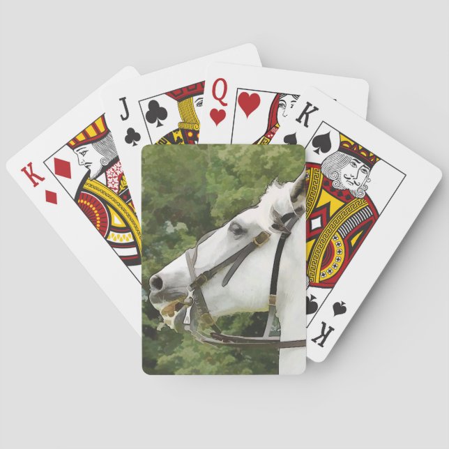 JEU DE CARTES CHEVAUX (dos)