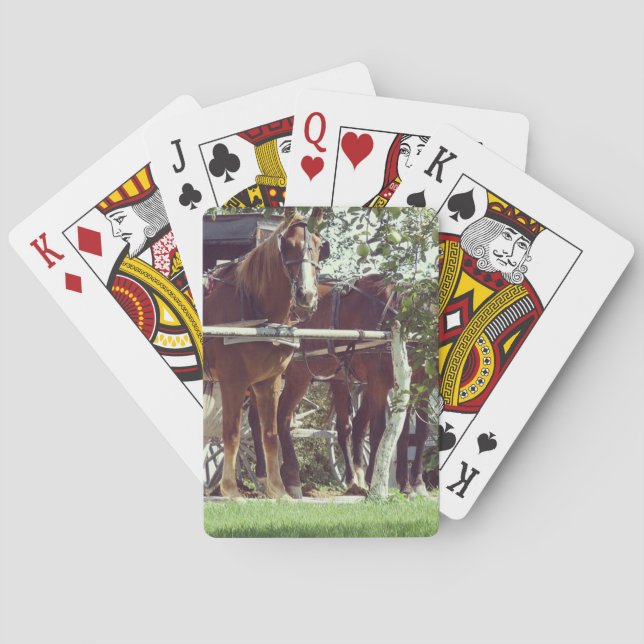 Jeu De Cartes Chevaux Amish à la Pose de Hitching autour des Pom (dos)