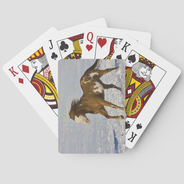 Jeu De Cartes Chevaux courant dans la neige (dos)
