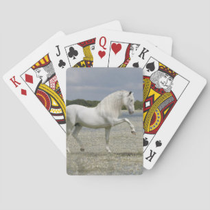 Jeu De Cartes Chevaux d'Imaginaire : Seigneur du lac