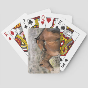 Jeu De Cartes Chevaux Mustang Sauvages Touchant