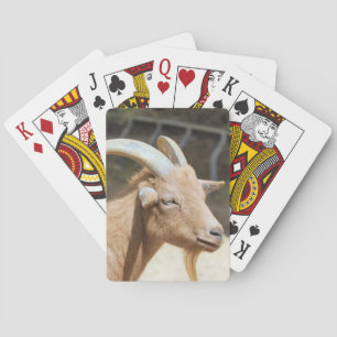 Jeu De Cartes Chèvre
