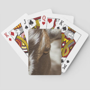 Jeu De Cartes Chèvre