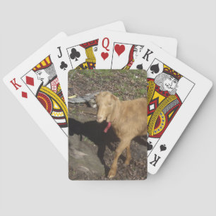 Jeu De Cartes Chèvre Brown