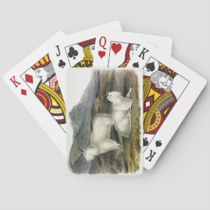 Jeu De Cartes Chèvre de montagne (Capra Americana par Audubon)