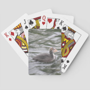 Jeu De Cartes Chick au lait mignon sur l'eau bouchée Jouer des c