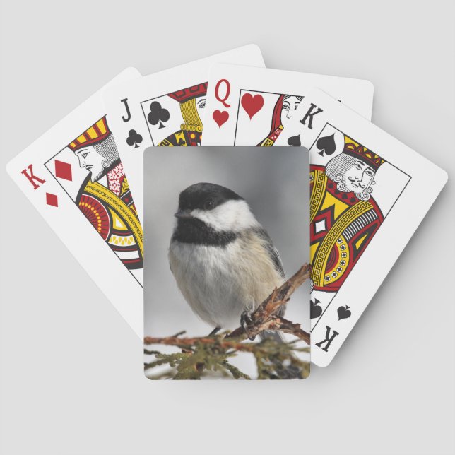 Jeu De Cartes Chickadee_9478 (dos)