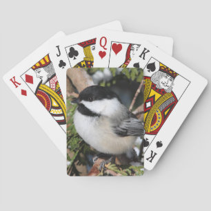 Jeu De Cartes Chickadee_9530