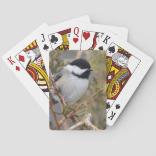 Jeu De Cartes Chickadee_9654