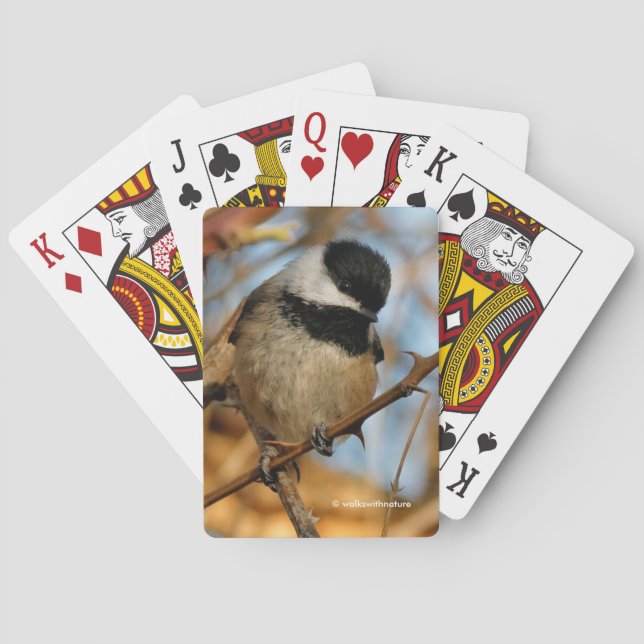 Jeu De Cartes Chickadee Songbird, Joli Espérant (dos)