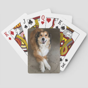 Jeu De Cartes Chien
