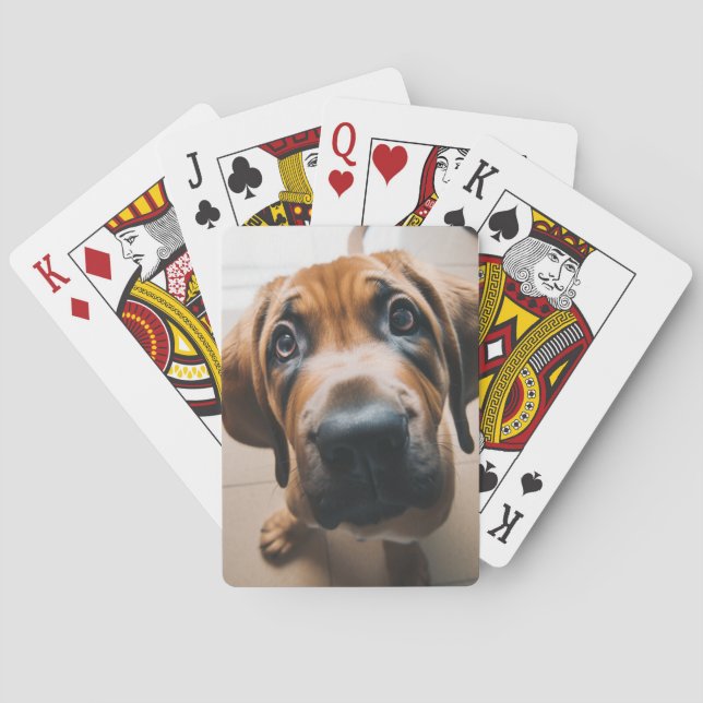 Jeu De Cartes Chien (dos)