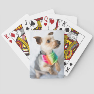 Jeu De Cartes Chien arc-en-ciel Gay pride Yorkshire Terrier