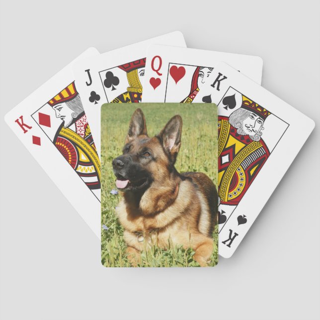 Jeu De Cartes Chien berger allemand (dos)